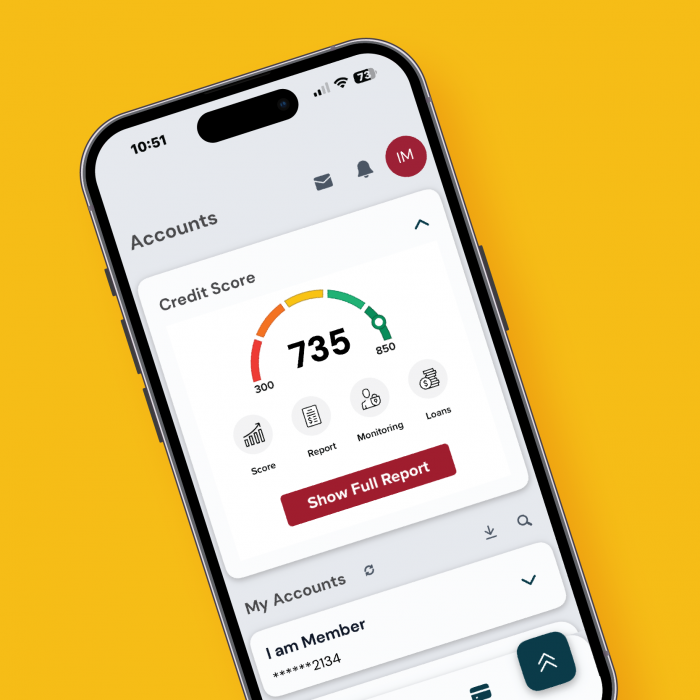 Credit Score View