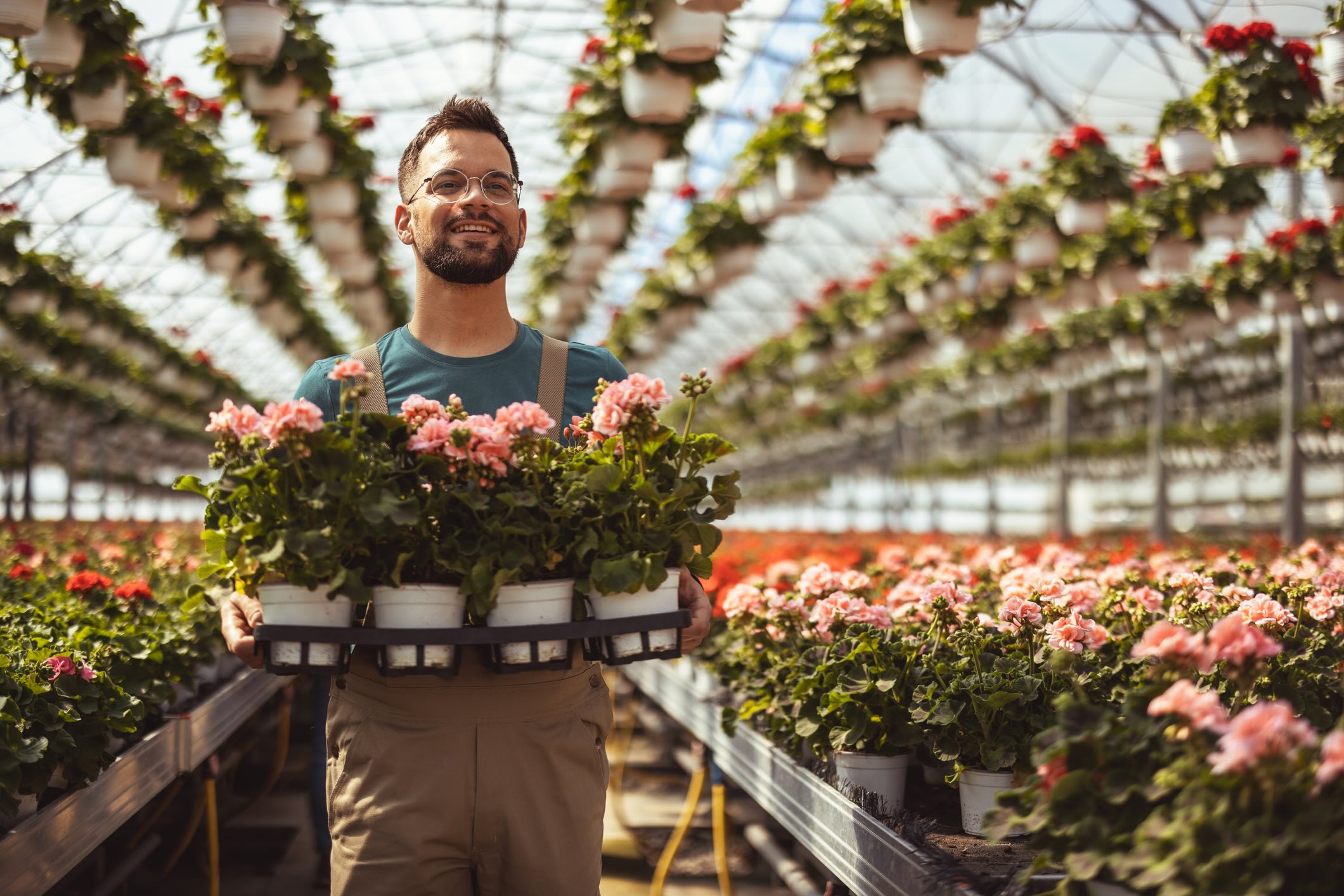 Local business owner carrying plants while expanding storefront
