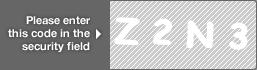 captcha code for visual authentication  letter Z number 2 letter N number 3