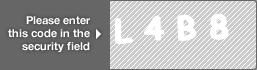 captcha code for visual authentication  letter L number 4 letter B number 8