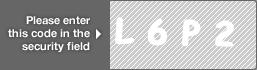 captcha code for visual authentication  letter L number 6 letter P number 2